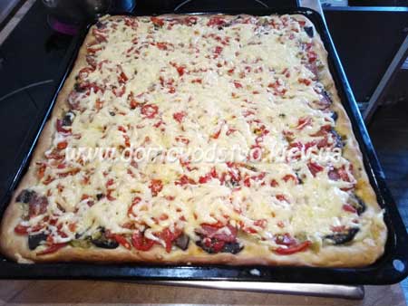 Пицца с грибами, колбасой, помидорами, солеными огурцами и сыром