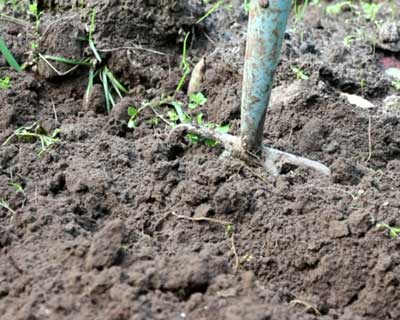 Обработка почвы и удобрения