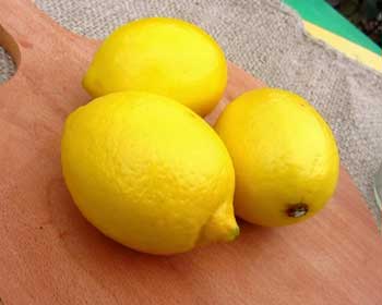 Сироп из лимона и из лимонных корок